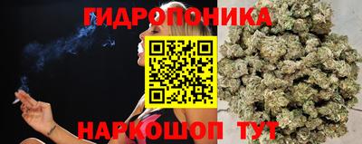 трава Дубна