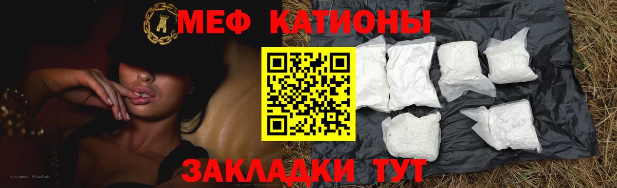 Меф Мичуринск