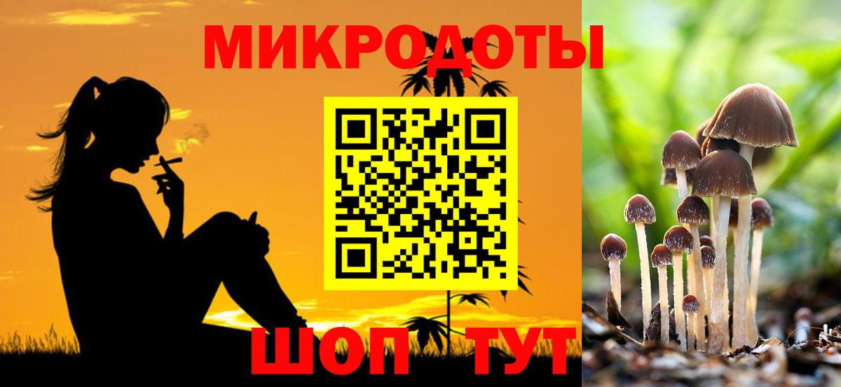 Мичуринск  Псилоцибиновые грибы Psilocybine cubensis  Вход с VPN 